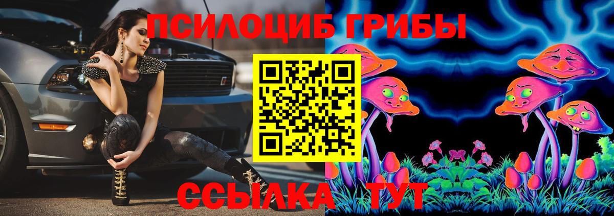 Алейск  Галлюциногенные грибы Cubensis  Вход с VPN  Галлюциногенные грибы мицелий 