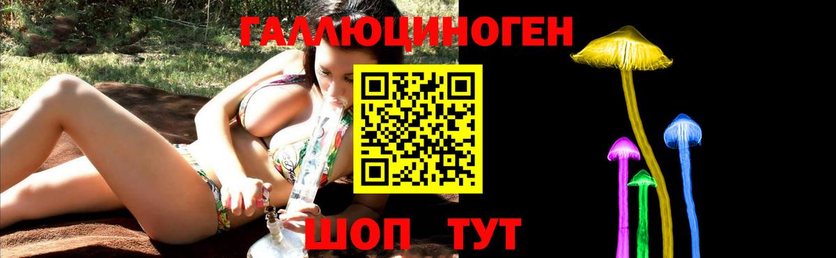 Галлюциногенные грибы Psilocybine cubensis Алейск